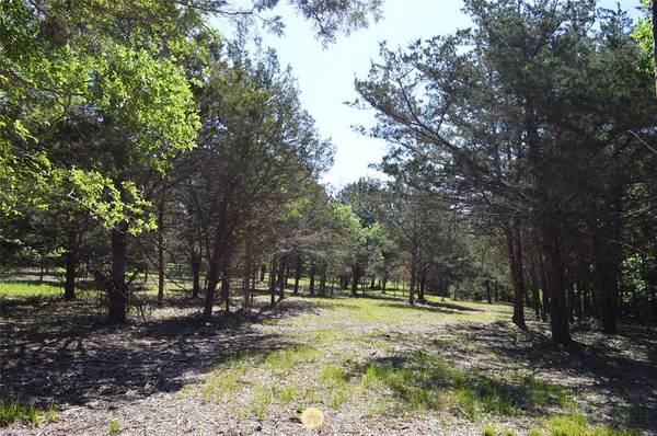 Chappell Hill, TX 77426,0 Fm-2447