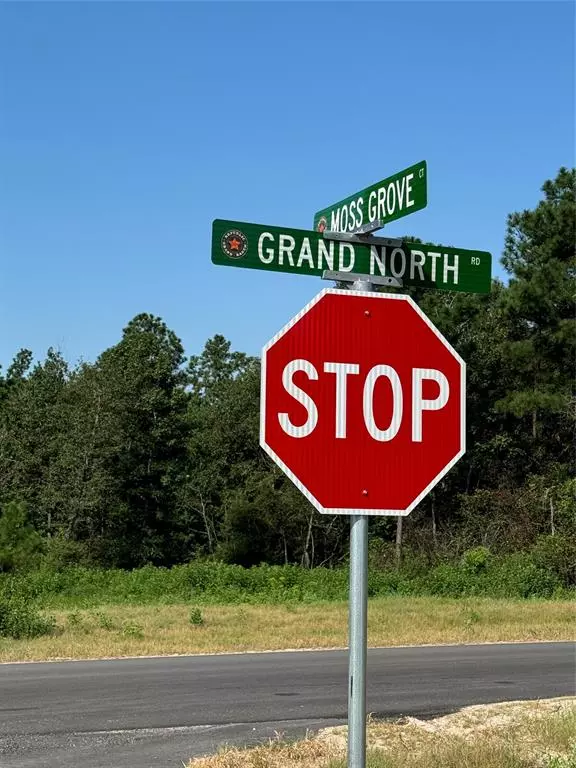 Willis, TX 77358,11676 Grand North RD