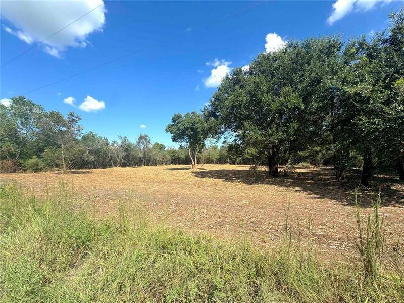 00 COUNTY ROAD 154 PRIVATE, Algoa, TX 77511