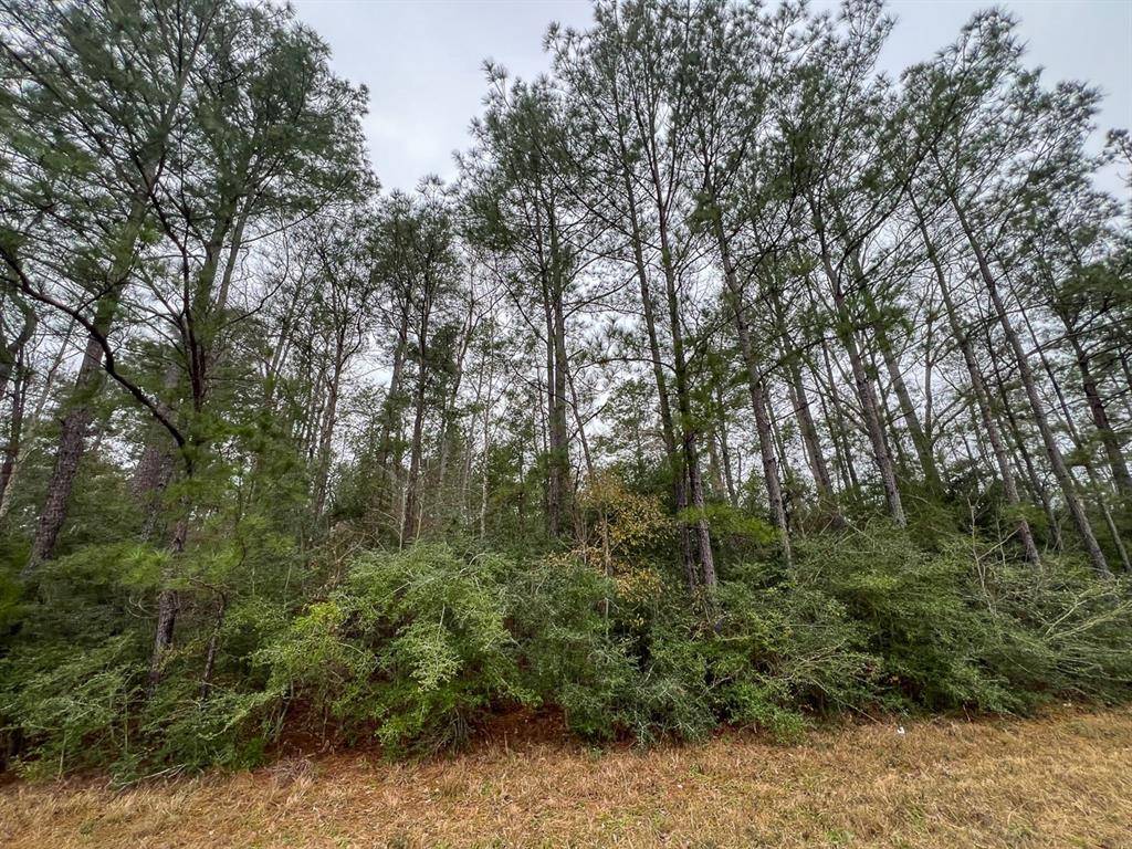 Newton, TX 75966,1 FM 2626