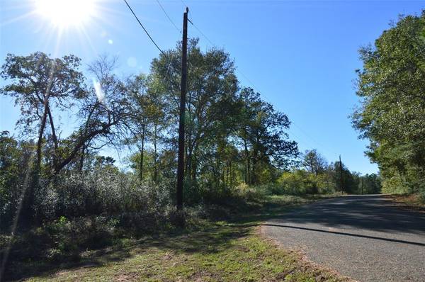 Tract #3 County Road 302, Plantersville, TX 77363