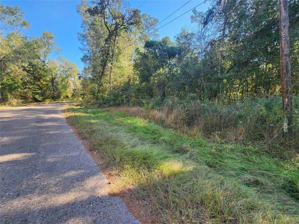 Lot 14 E Parkway DR, Conroe, TX 77302