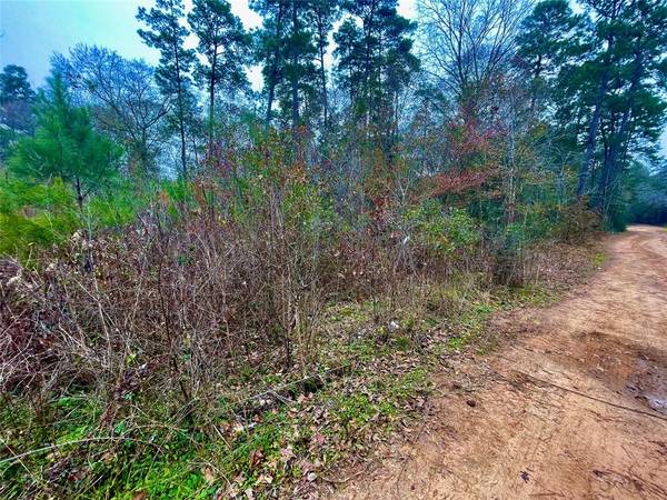 Lot 12 Holly Knoll DR, Plantersville, TX 77363