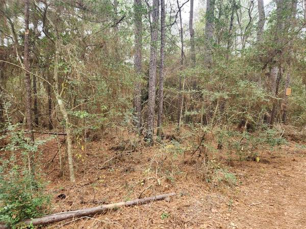 Lot 9 Honeylocust LN, Plantersville, TX 77363