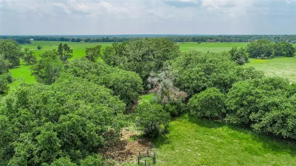 Somerville, TX 77879,Lot 29 (5 Acres) Legacy RD