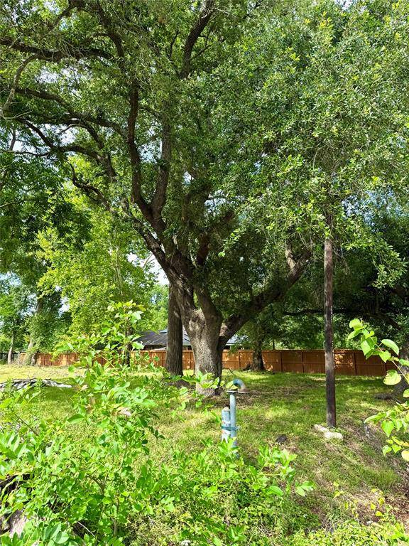 Houston, TX 77088,1926 Dolly Wright RD