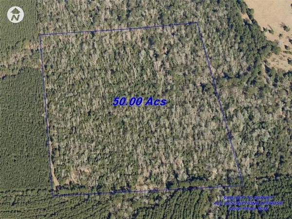 Woodville, TX 75979,Off County Road 2777