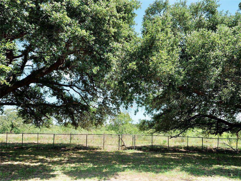 Flatonia, TX 78959,4410 Farm to Market 1115