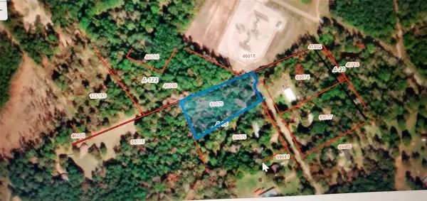 Point Blank, TX 77364,Lot 1 Forest DR