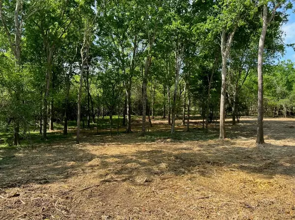 Chappell Hill, TX 77426,TBD Winding Branch Lot 40