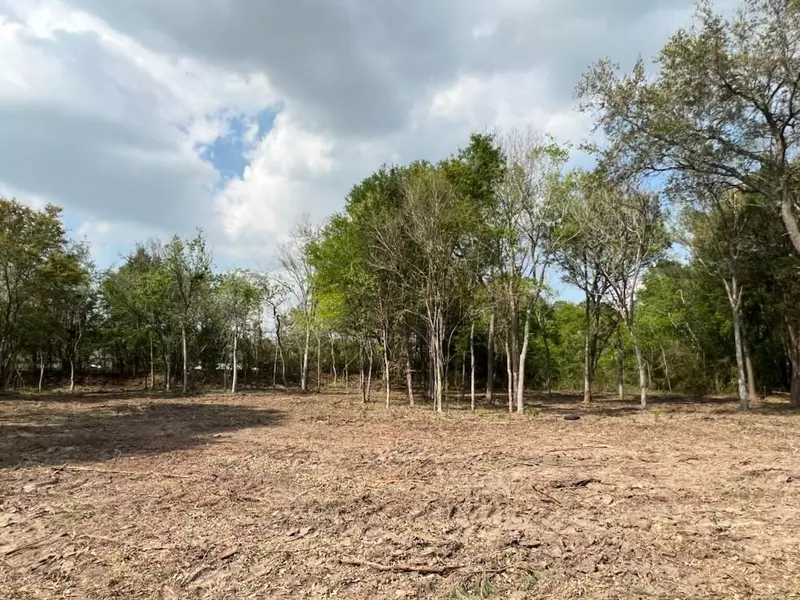 1618 Crown Oaks Court Lot 8, Pearland, TX 77581