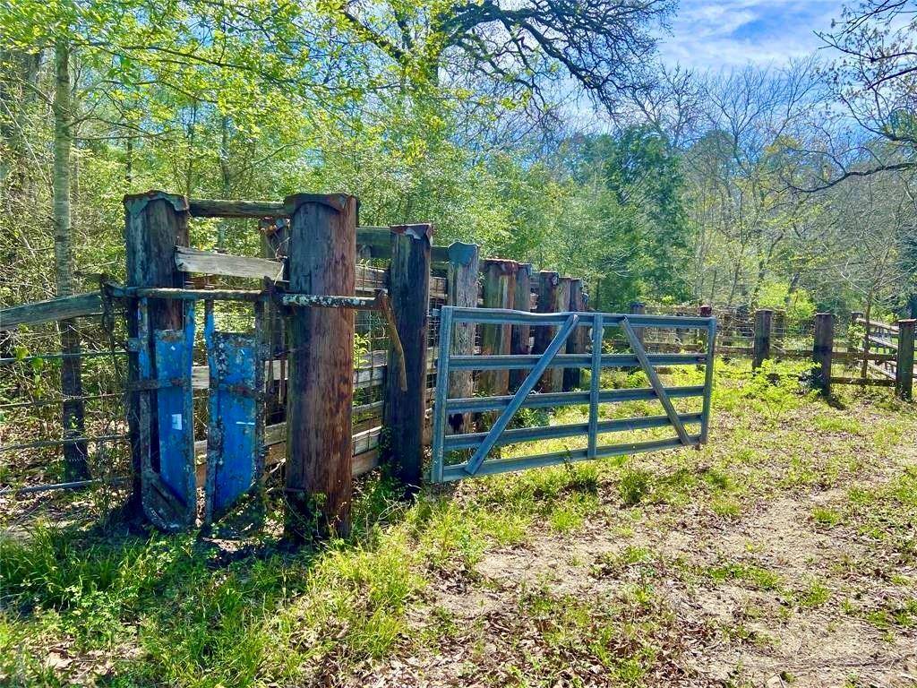 Richards, TX 77873,000 County Road 232
