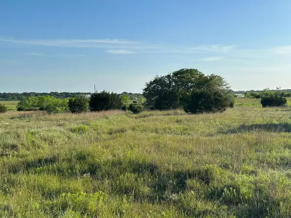 Bertram, TX 78605,TBD Lot 2 County Rd 210