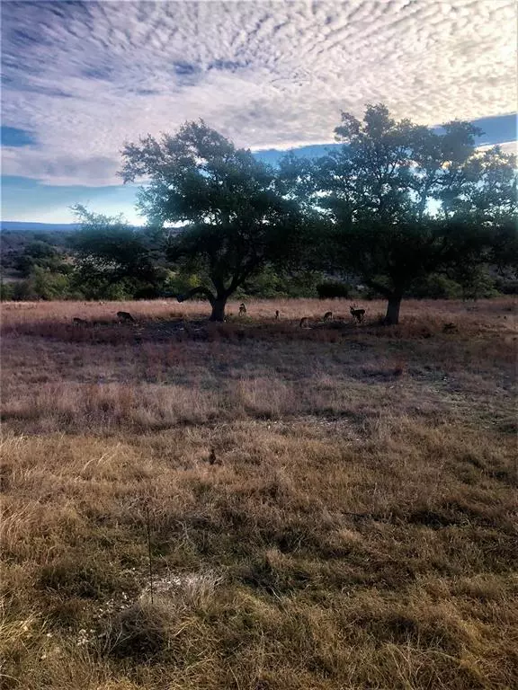 Fredericksburg, TX 78624,Lot 33 Trophy Oak PT