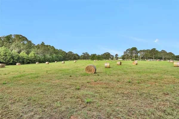 New Waverly, TX 77358,TBD W Fm 2693 Road W