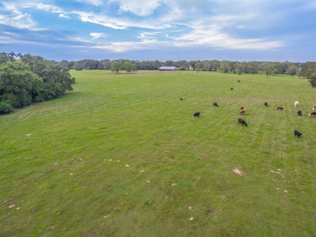 Hempstead, TX 77445,26179 N HWY 6