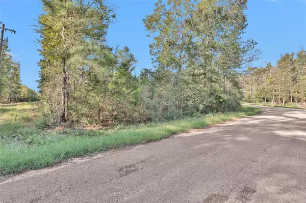 00 E Double Creek RD, Willis, TX 77378