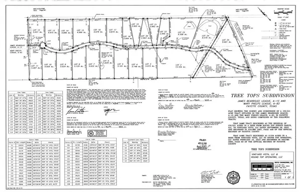 Carmine, TX 78932,494 Vineyard View Trail - Lot 15