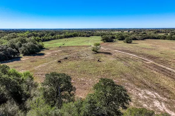 Brenham, TX 77833,06 Sawmill Road Tract 6