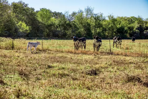 Brenham, TX 77833,06 Sawmill Road Tract 6