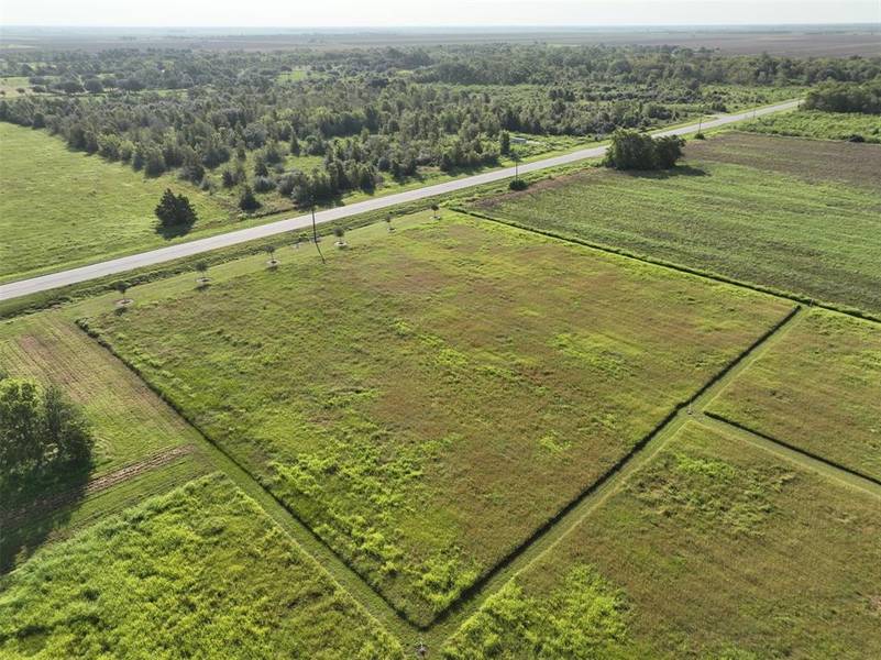 00 Farm to Market 2919 Tract 01, Beasley, TX 77417