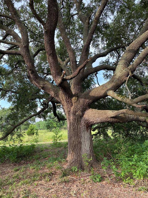 Alvin, TX 77511,0 Clifford St County Road 137