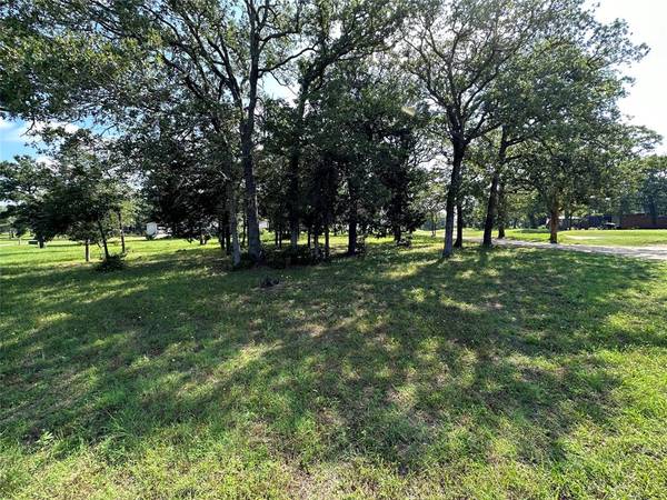 Bastrop, TX 78602,193 Colovista Pkwy