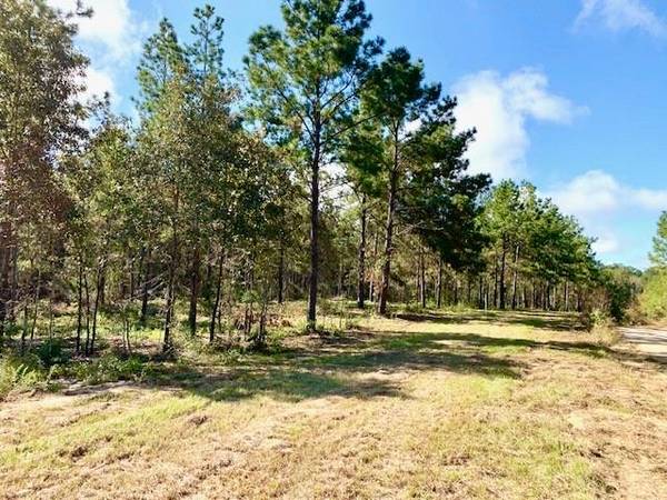 TBD 38.3+/- AC CR 2310, Woodville, TX 75979