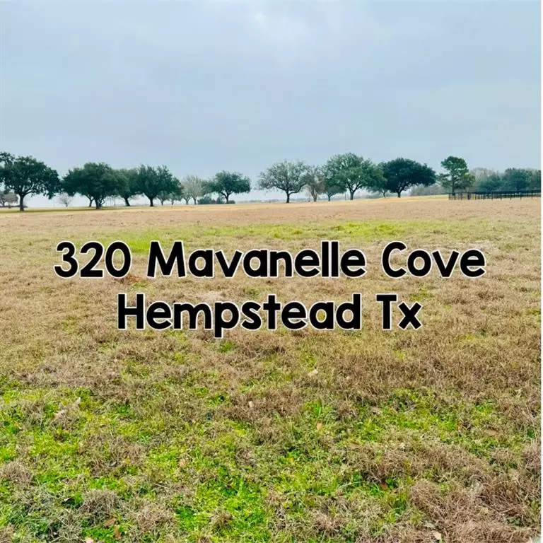 Hempstead, TX 77445,320 Mavanelle CV