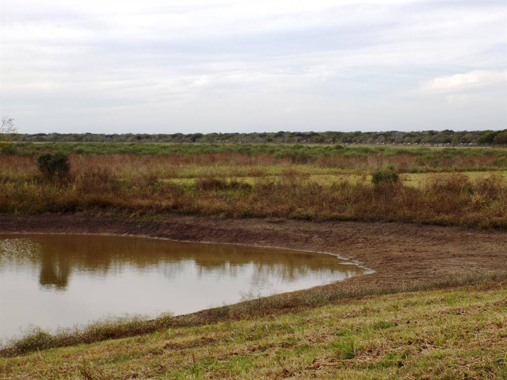 Sargent, TX 77414,164 County Road 291