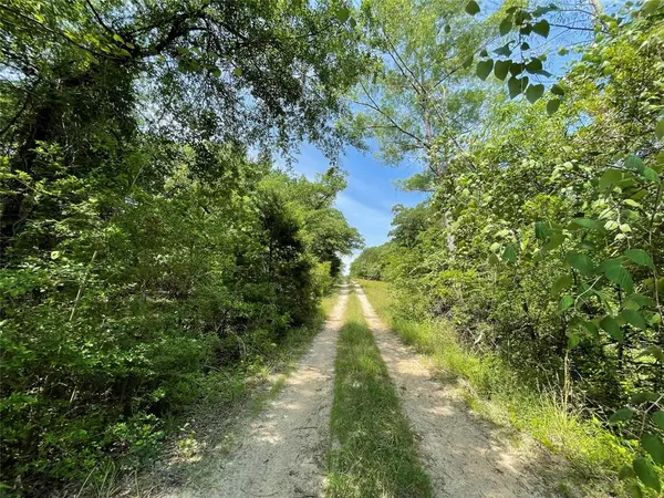 TBD Tract 13 FM 3285, Fairfield, TX 75840