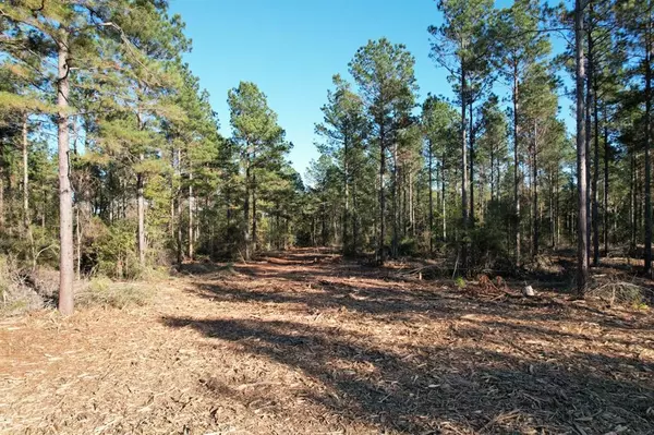 Tenaha, TX 75974,TBD County Road 4484