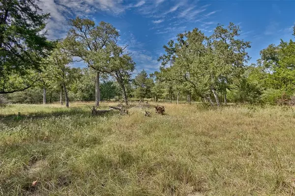 590 Oak Forest DR,  Snook,  TX 77878