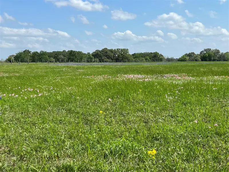 Tract 2 County Road 235, Hallettsville, TX 77964