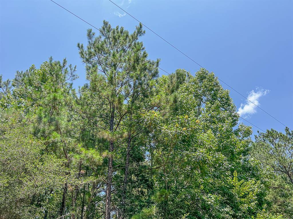 Zavalla, TX 75980,03 CR 364e
