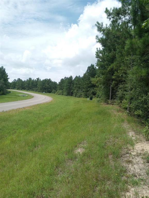 Willis, TX 77378,15785 Woodlife RD