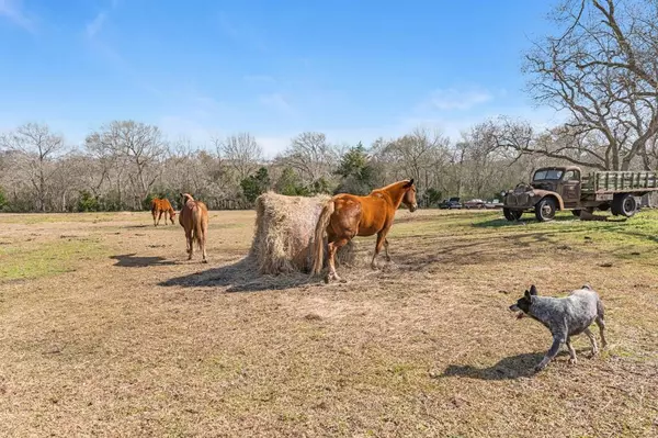 13236 Fm 1409, Old River-winfree, TX 77535