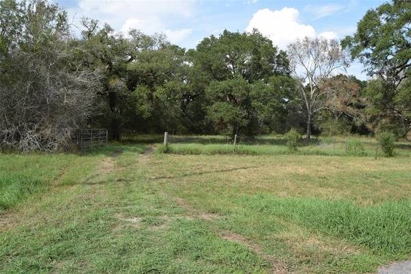 00 Lake View RD, Damon, TX 77430