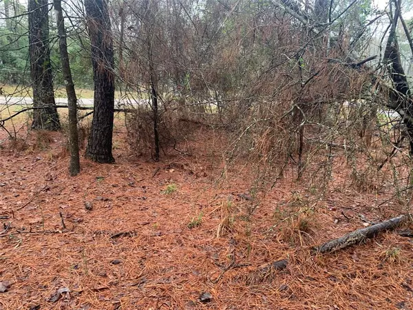 Magnolia, TX 77354,Lot 13 Brownbark