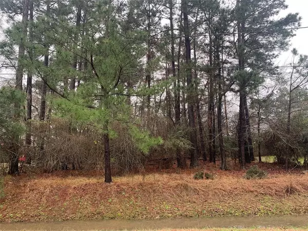 Lot 13 Brownbark, Magnolia, TX 77354