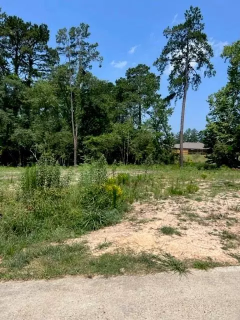 Conroe, TX 77304,Lot 34 La Salle Park