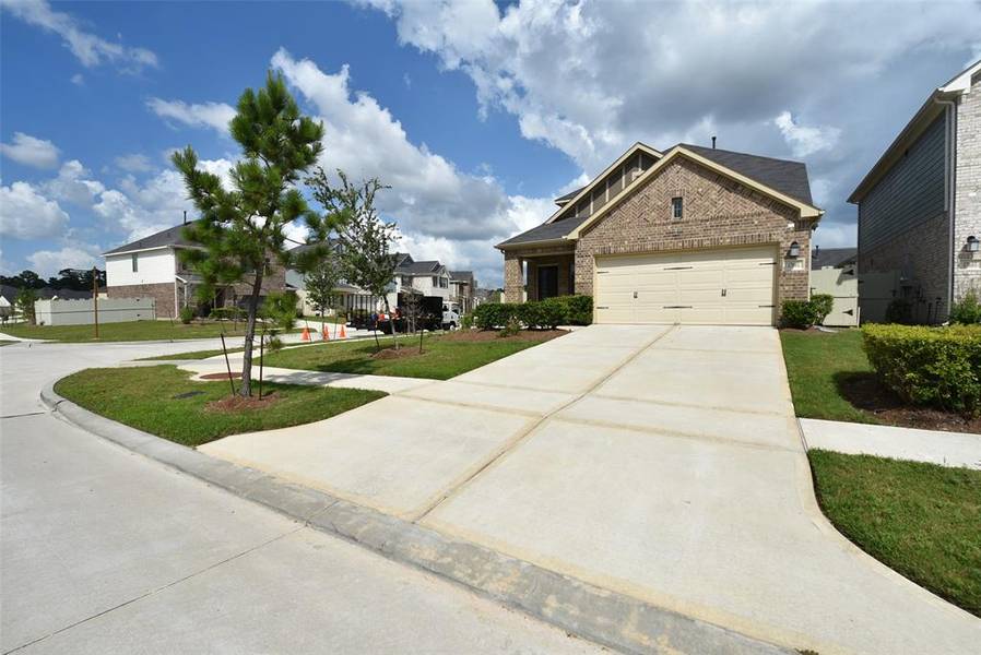 17681 Tree Of Heaven, Conroe, TX 77385