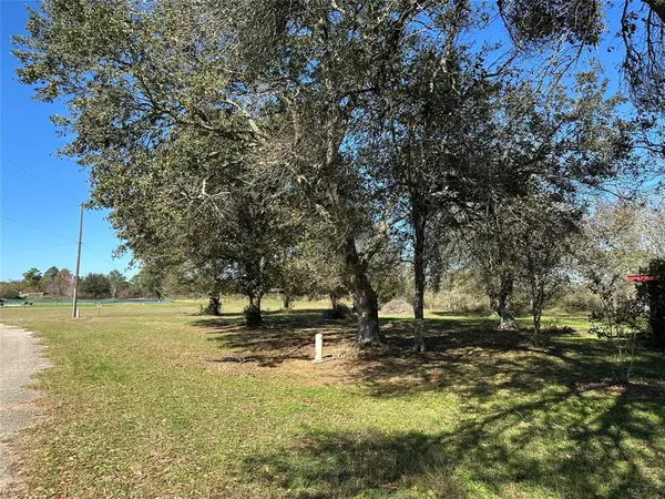 Waller, TX 77484,LOT 12 White Wing DR