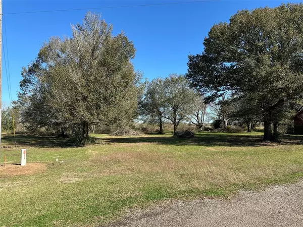 LOT 12 White Wing DR, Waller, TX 77484