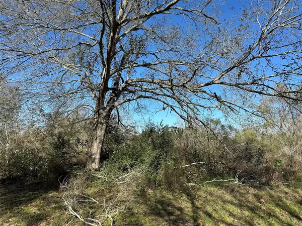 Waller, TX 77484,LOT 12 White Wing DR