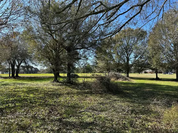 Waller, TX 77484,LOT 12 White Wing DR