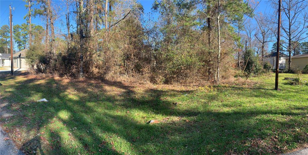 Livingston, TX 77351,191 Creekside LN