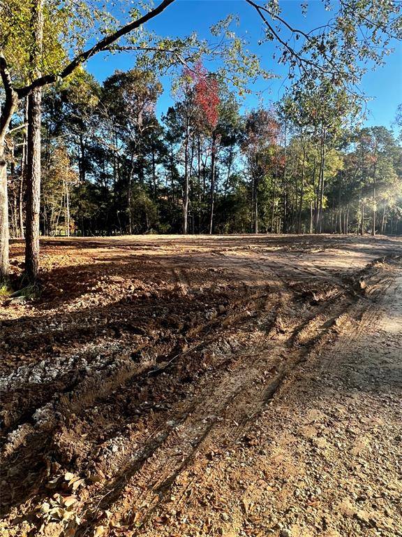 15209 Saddlewood dr, Conroe, TX 77384