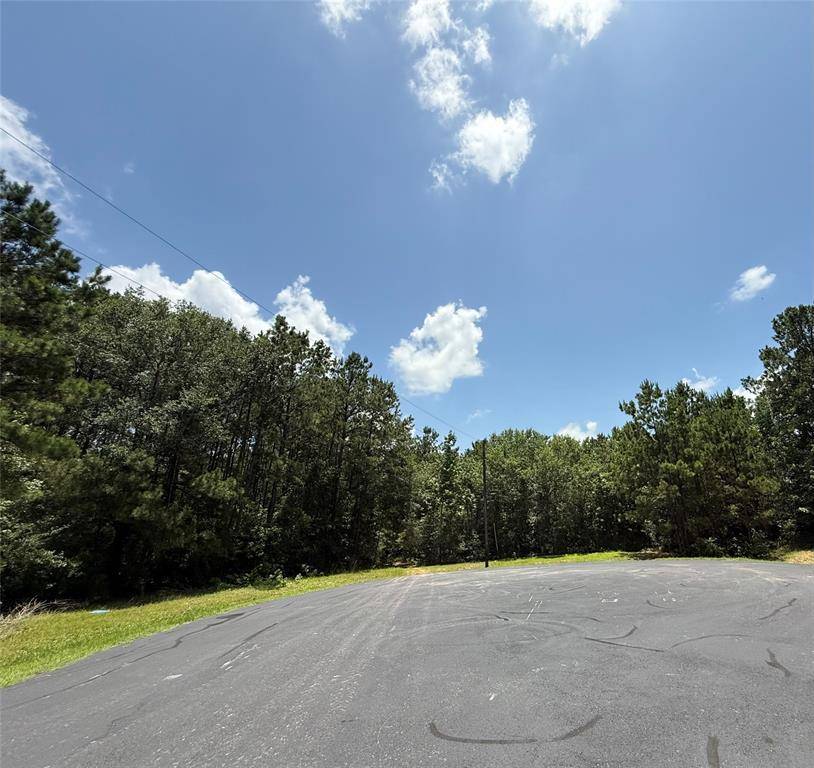 Waller, TX 77484,17647 Julianne DR