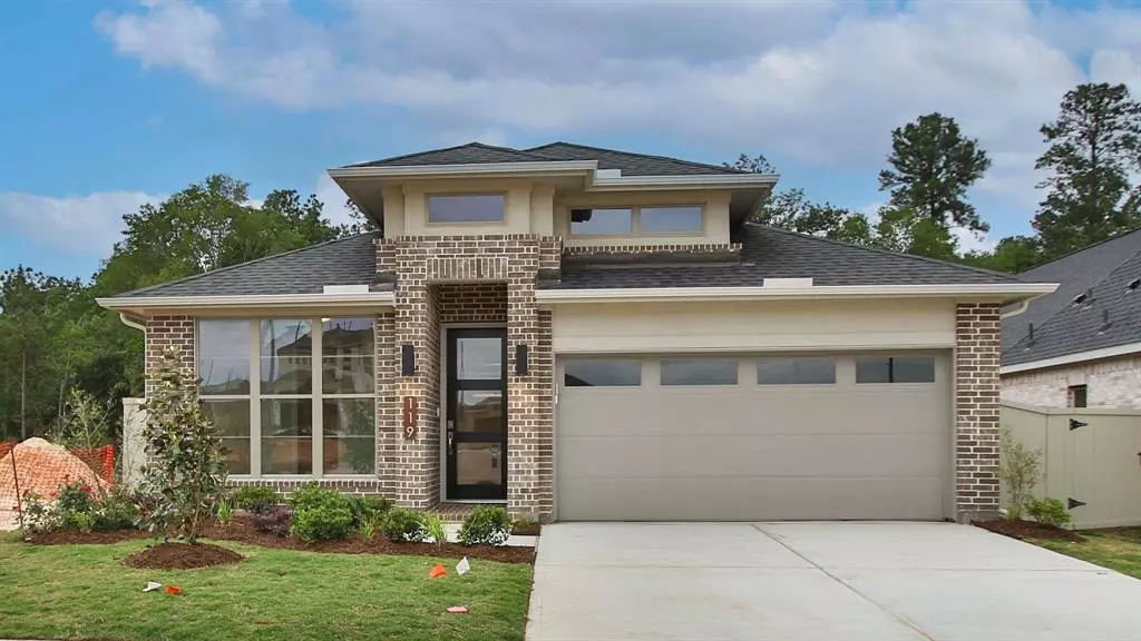 119 Harlequin Duck CT, Magnolia, TX 77354